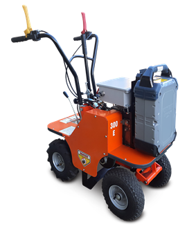 Benassi L300E electric turf cutter